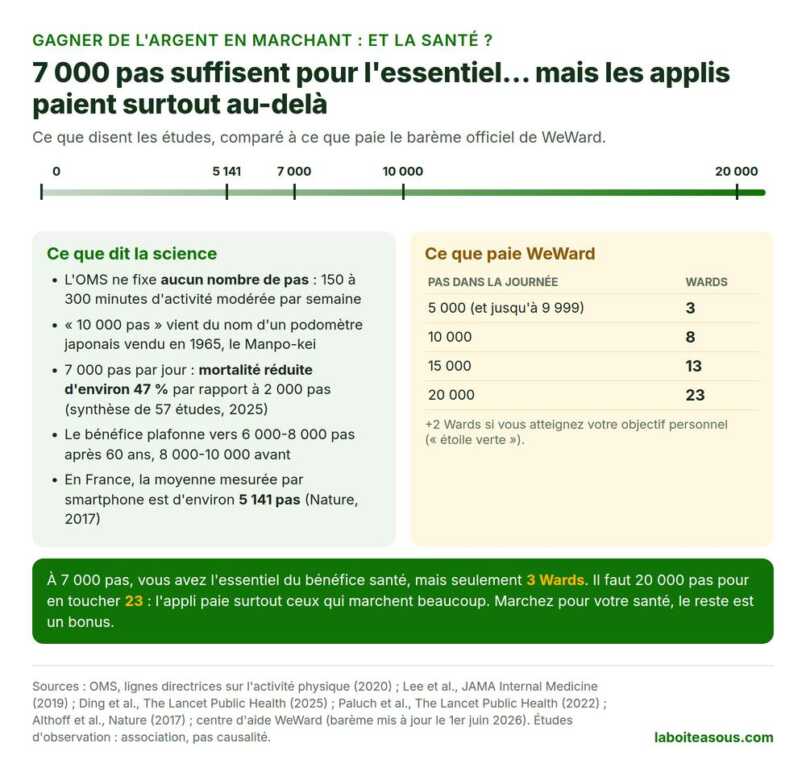 Gagner de l’argent en marchant et santé : 7 000 pas par jour suffisent pour l’essentiel des bénéfices, alors que WeWard paie 3 Wards à 7 000 pas et 23 Wards à 20 000 pas