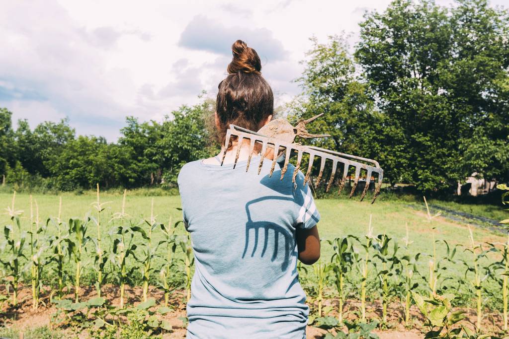 Une adolescente avec un râteau dans un potager